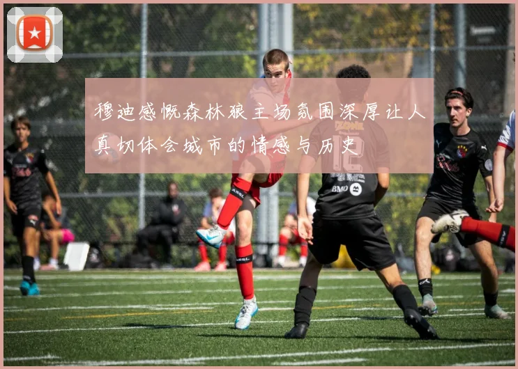 穆迪感慨森林狼主场氛围深厚让人真切体会城市的情感与历史