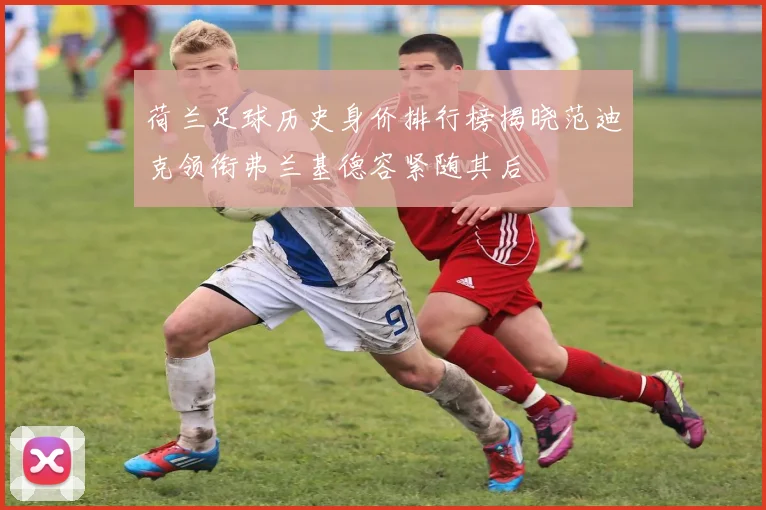 荷兰足球历史身价排行榜揭晓范迪克领衔弗兰基德容紧随其后
